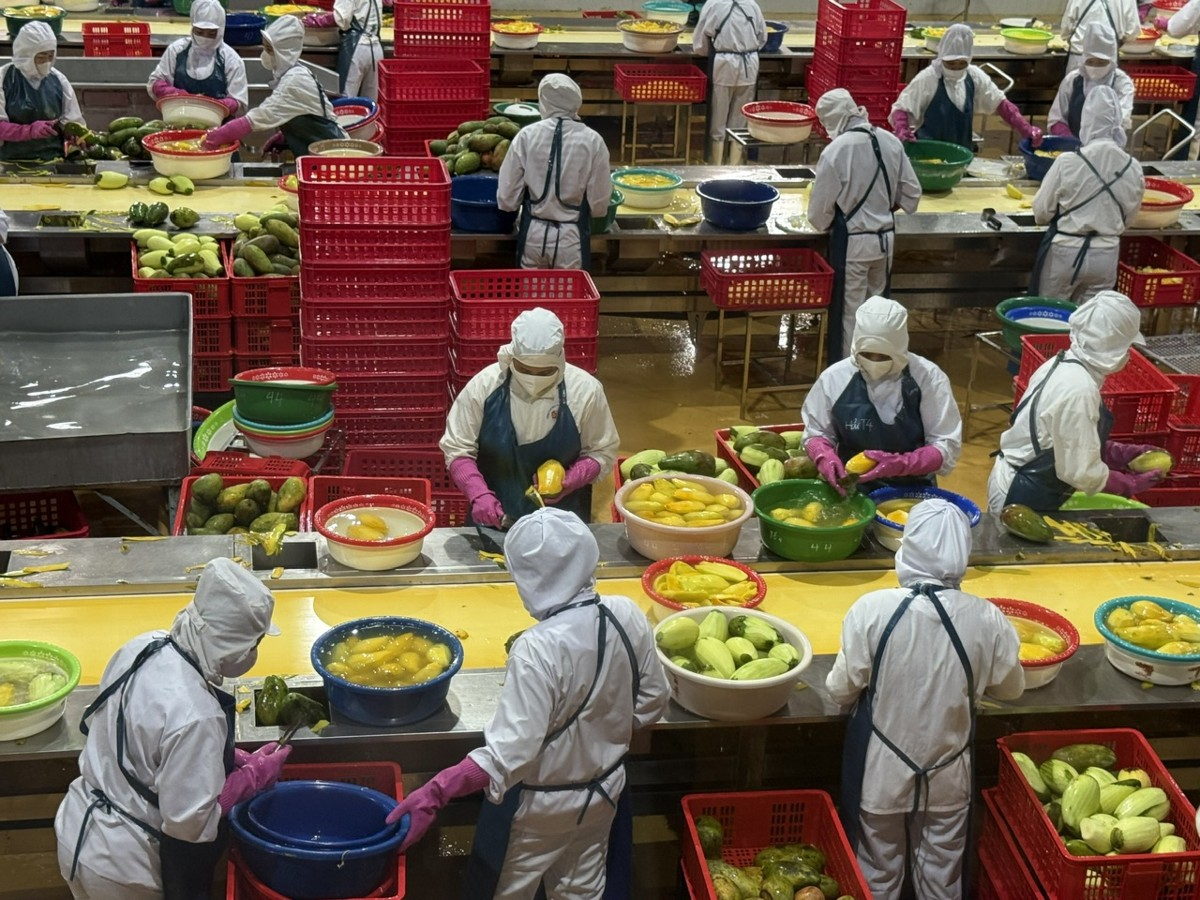 Nông, lâm, thủy sản duy trì đà tăng trưởng tích cực